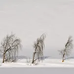 호텔 Clubdorf Alpenrose