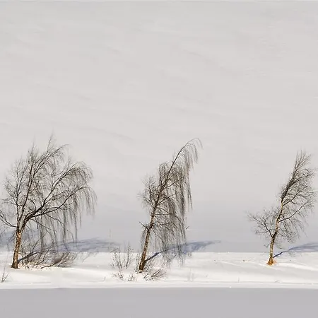 Отель Alpenrose