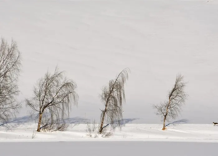 Hotel Clubdorf Alpenrose