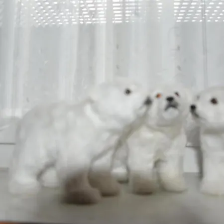 Hotel Clubdorf Alpenrose